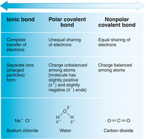 Ionic, polar covalent, and nonpolar covalent bonds compared