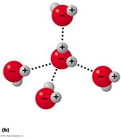 Hydrogen bond formation in water