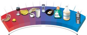 pH scale with common substances
