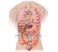Abdominopelvic quadrants