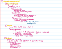 Notes on organic compounds: carbohydrates, lipids, and proteins