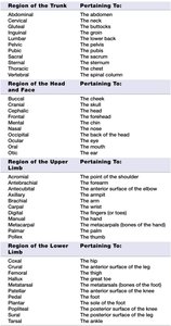 Summary table of regional terms