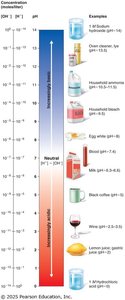 pH scale with examples of acidic, neutral, and basic substances