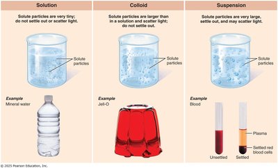 Comparison of solution, colloid, and suspension with examples