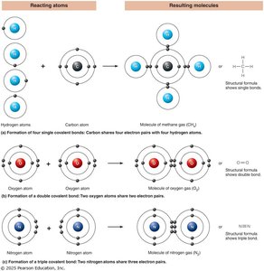Formation of covalent bonds in methane, oxygen, and nitrogen molecules