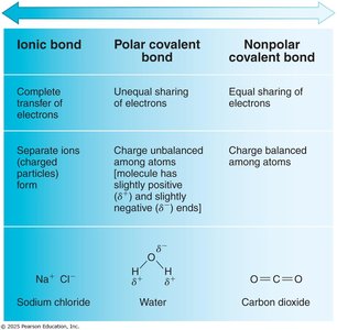 Table comparing ionic, polar covalent, and nonpolar covalent bonds