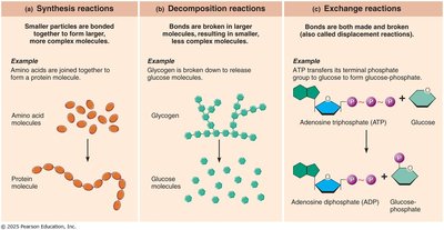 Examples of synthesis, decomposition, and exchange reactions