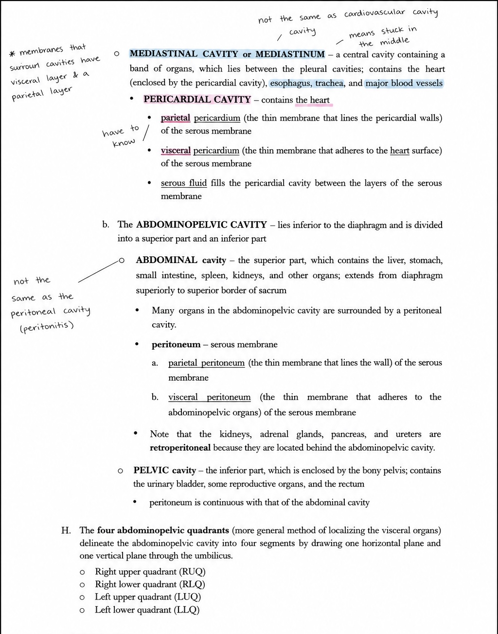 Handwritten and typed notes on mediastinal, pericardial, abdominal, and pelvic cavities with annotations