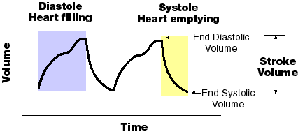 Stroke volume calculation