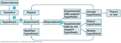 Flowchart of the scientific method