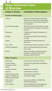 Table of industrial uses of microbes