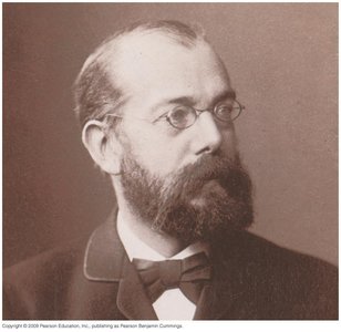 Robert Koch, pioneer of medical microbiology
