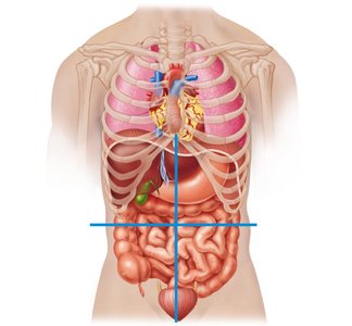 Abdominopelvic quadrants