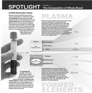 The Composition of Whole Blood