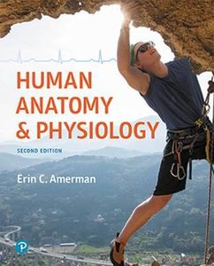 Human Anatomy & Physiology textbook cover