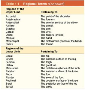Regional terms table (continued)