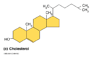 Cholesterol molecule structure