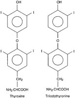 Chemical structures of T3 and T4