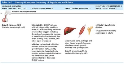Summary table of GH regulation and effects