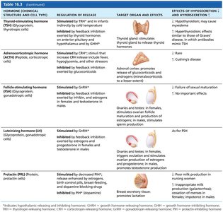 Summary table of anterior pituitary hormones