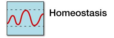 Homeostasis icon