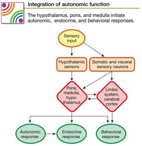 Integration of autonomic function