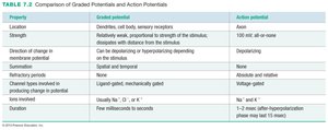 Comparison of graded and action potentials