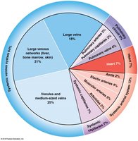 Blood constituents and their functions table
