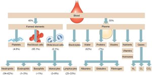 Blood composition: plasma and formed elements