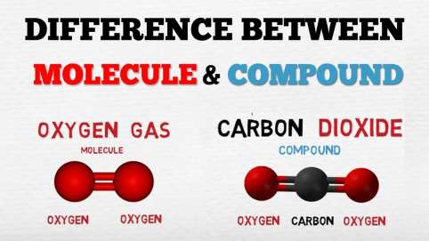 Difference between molecule and compound