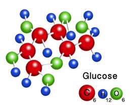 Glucose molecule