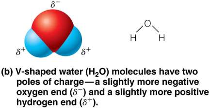Comparison: ionic, polar covalent, nonpolar covalent bonds