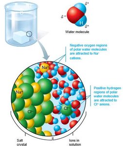 Water molecule and salt dissociation