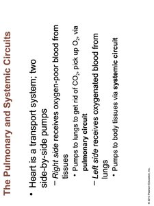 Pulmonary and Systemic Circuits