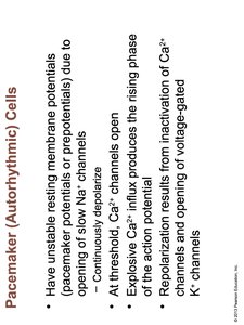 Sequence of Excitation: SA and AV Nodes