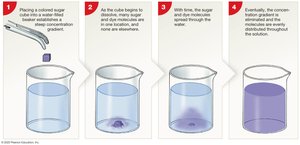 Process of diffusion in solution