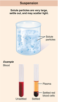 Suspension: solute particles are very large, settle out, and may scatter light