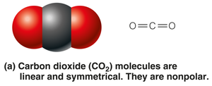 Carbon dioxide molecule: nonpolar