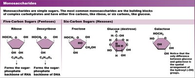 Monosaccharides table