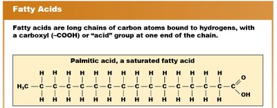Fatty acids structure