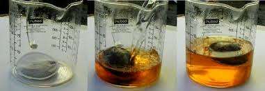 Osmosis demonstration with beakers