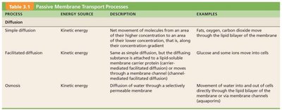 Table summarizing passive membrane transport processes