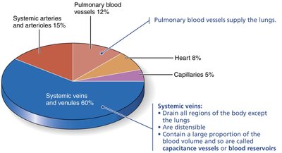 Relative proportion of blood volume throughout the cardiovascular system