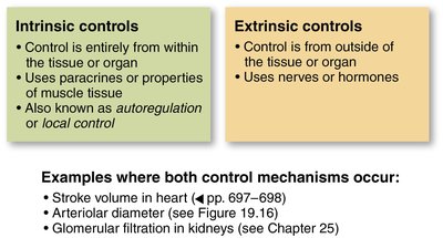 Summary of intrinsic versus extrinsic control mechanisms