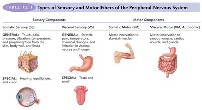 Table of sensory and motor fibers in the PNS