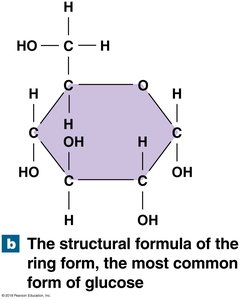 Structural formula of glucose