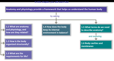 Chapter overview flowchart