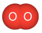 Oxygen molecule (O2)