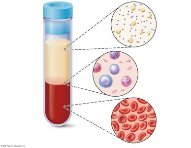 Blood components in a test tube