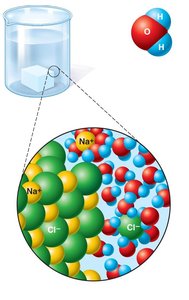 Dissociation of salt in water